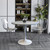 Modern Round Dining Table, White Resin Tabletop with Stainless Steel Pedestal Base, Contemporary Kitchen & Dining Room Table, Small Space Breakfast Nook Table (36 Inch)
