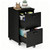 2 Drawer Filing Cabinet, Wood Rolling Filing Cabinets with Printer Stand, Under Desk Storage Lockable Wheels, Home Office Organizer for A4 Letter Legal Size Documents,Black