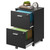 2 Drawer Wood File Cabinet with Lock, Mobile Printer Stand, Black