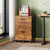 2 Drawer File Cabinet with Lock, Mobile Printer Stand, Rustic Brown
