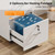 2 Drawer File Cabinet with Lock, Wood Grain White File Cabinets for Letter Size File Folders with Tabs, Mobile Under Desk Filing Cabinets for Home Office, Rolling Filing Cabinet Printer Stand