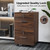 2 Drawer File Cabinet with Lock, Wood Dark Brown File Cabinets for Letter Size File Folders with Tabs, Under Desk Rolling Filing Cabinet for Home Office, Mobile File Organizer Printer Stand