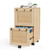 2 Drawer File Cabinet with Lock, Rolling File Cabinets for Home Office, Small Printer Stand, Wood Rattan Oak File Organizer, Under Desk Filing Cabinet on Wheels for Folders with Tabs