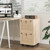 2 Drawer File Cabinet with Lock, Rolling File Cabinets for Home Office, Small Printer Stand, Wood Rattan Oak File Organizer, Under Desk Filing Cabinet on Wheels for Folders with Tabs