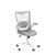 Office Chair, Ergonomic Desk Chair with Adjustable Lumbar Support and Flip up Armrest, Breathable Mesh Computer Chair for Home Office, Gray