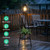 Solar Lights with Plant Stand, Outdoor Floor Lamp, Waterproof Solar LED Edison Bulb Light Flower Shelf for Patio Porch Deck Yard Garden Decor-1 Pack