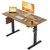 40*24 Inch Height Adjustable Electric Standing Desk, Rustic Brown