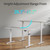 40 * 24 Inch Height Adjustable Electric Standing Desk, White
