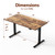 48*24 Inch Height Adjustable Electric Standing Desk, Rustic Brown