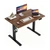 Electric Height Adjustable Standing Desk, 48 Inch, Dark Walnut