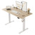 48 * 24 Inch Height Adjustable Electric Standing Desk, Maple