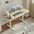 48 * 24 Inch Height Adjustable Electric Standing Desk, Maple