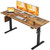 55*24 Inch Height Adjustable Electric Standing Desk, Rustic Brown