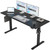 55 * 24 Inch Height Adjustable Electric Standing Desk, Black