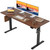 55*24 Inch Height Adjustable Electric Standing Desk, Dark Walnut
