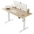 55 * 24 Inch Height Adjustable Electric Standing Desk, Maple
