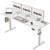 63 * 24 Inch Height Adjustable Electric Standing Desk, White