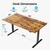 63*28 Inch Height Adjustable Electric Standing Desk, Rustic Brown