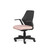 Alles Office Chair Fixed Arms