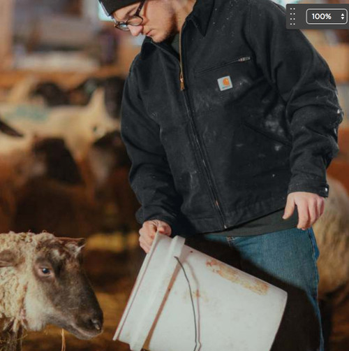 Caprhartt ジャケット b3zsgi7un8bjhjibwybb.jpg?v=