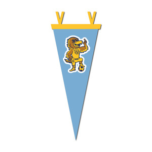 Collegiate Pacific 6" x 15" Soccer Iggy Pennant
