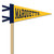 Pennants on a Stick