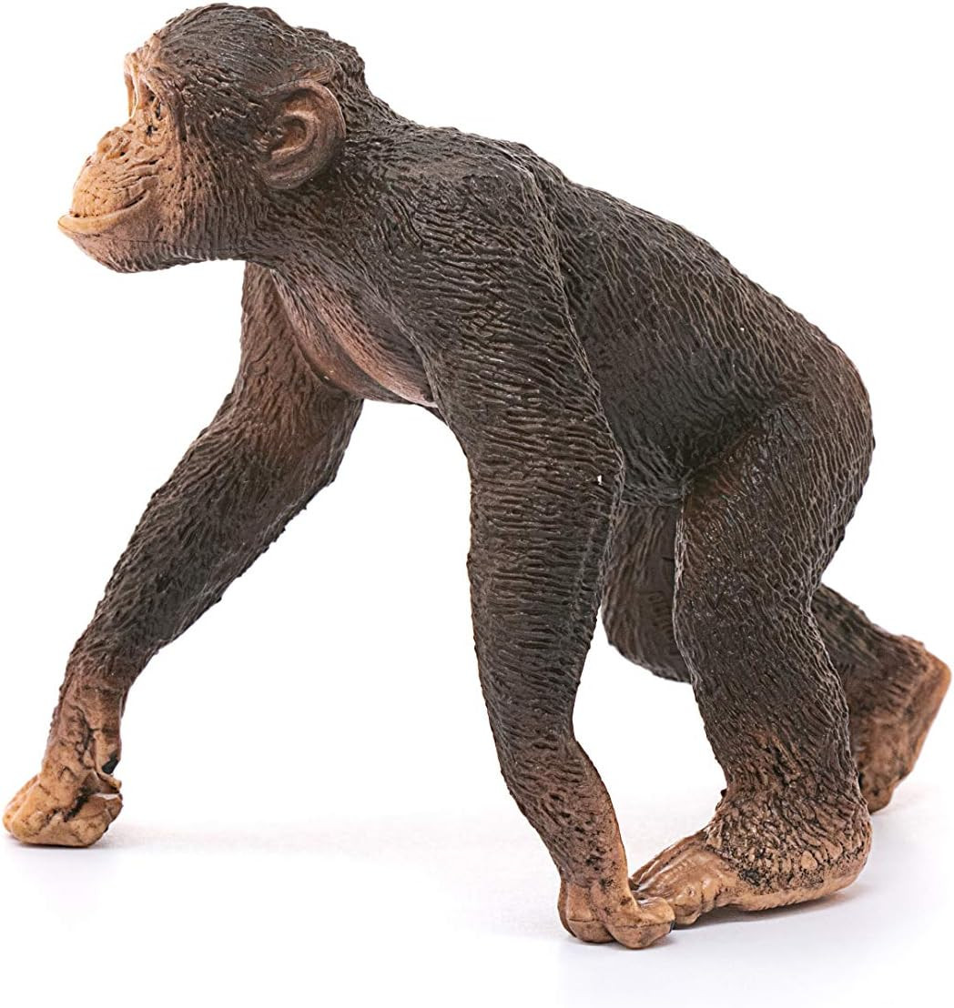Figurine Schleich 14817 - Chimpanzé Mâle - Neuf Sous Blister