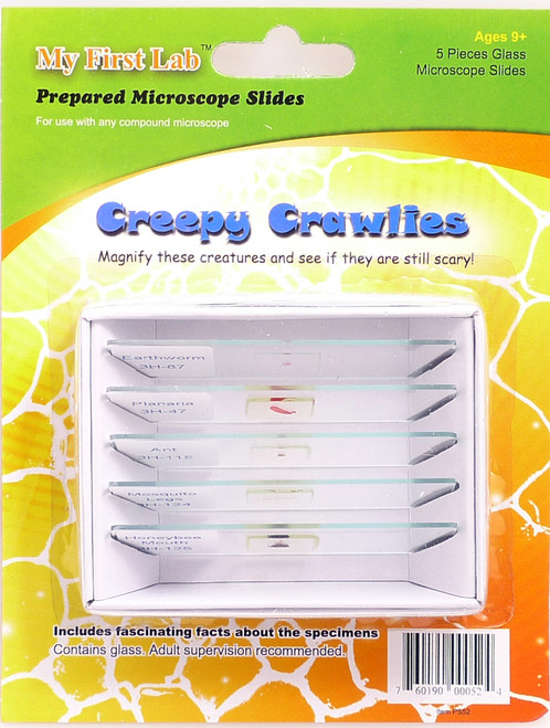 MY First Lab Creepy Crawlies Microscope slides C&A 000524