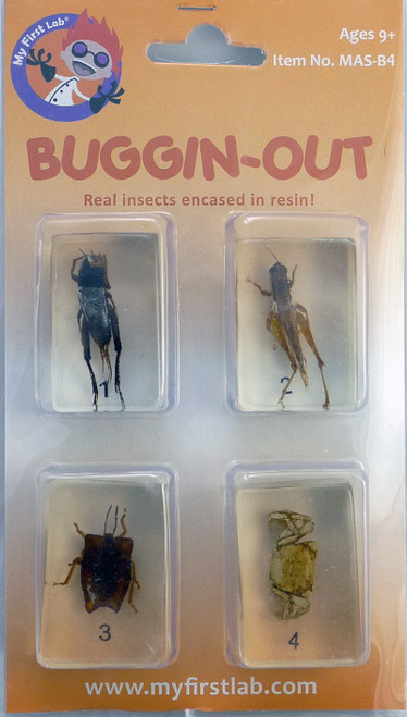 My First Lab, Buggin-Out Micro Fun Bug Set C&A 00128