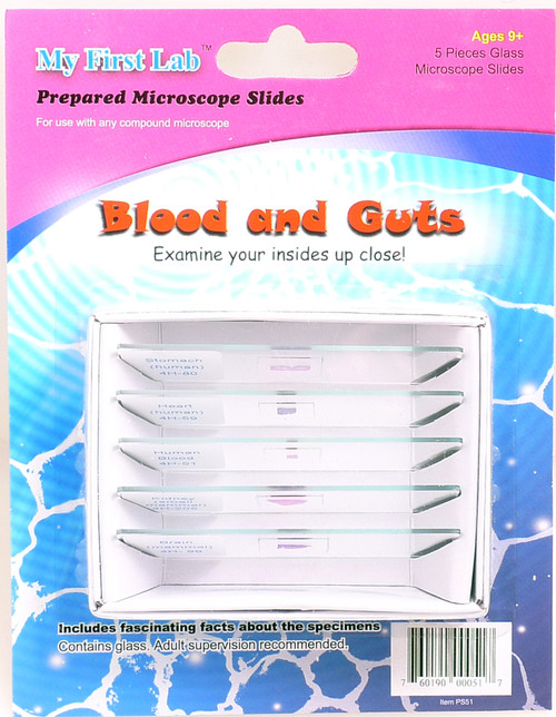 MY First Lab Blood and Guts Microscope slides C&A 000517