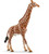 Schleich Giraffe Male  Figure Schleich 47492