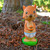 Archie McPheee Squirrel in Underpants Dashboard Bobble Head 29441