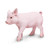 Incredible Creatures - 265429 Piglet figure Safari 65403