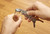 Kikkerland Shark Key Ring Bottle Opener 102842