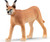 Wild Life 14867 Female Caracal Toy figure Schleich 37693