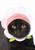 Cat Cap Flower kc-051 Blind Box 03268