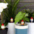Naughty Gnomes Planters by Gift Republic 26566