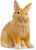 Wild Life 13974 Lionhead Rabbit Schleich 89408