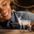 Wild Life 14843 Frosty Christmas Reindeer 2024 Limited Toy Figure Schleich 53447 Wild Life 14843 Frosty Christmas Reindeer 2024 Limited Toy Figure Schleich 53447