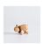 Anamalz Outback Wombat Wooden Animal Toy 18070