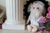 Little Thinkers Socrates Plush Doll Unemployed Philosophers Guild 01072