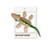 Anamalz Outback Crocodile Wooden Animal Toy 17431