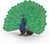 Wild Life 14926 Peacock Toy Figure Schleich 37739
