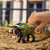 Eldrador 70852 Jungle Boar toy figure Schleich 67893