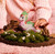 Bayala 70849 Magical Dinosaur toy figure Schleich 90448