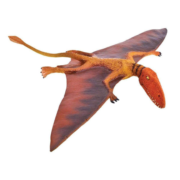 Prehistoric - Dimorphodon 304729 Safari LTD 04706