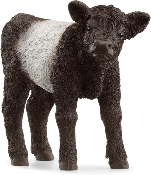 Farm World 13969 Galloway Calf Toy figure Schleich 89323 Farm World 13969 Galloway Calf Toy figure Schleich 89323