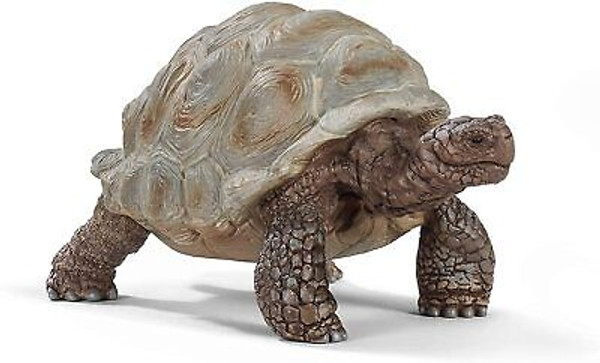 Wild Life 14824 Giant Tortoise Toy Figure Schleich 33667