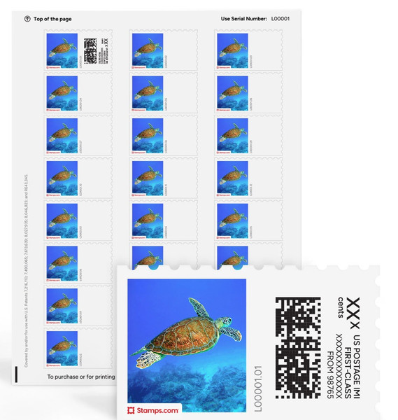 Hawksbill Turtle NetStamps Sheets Stamps.com
