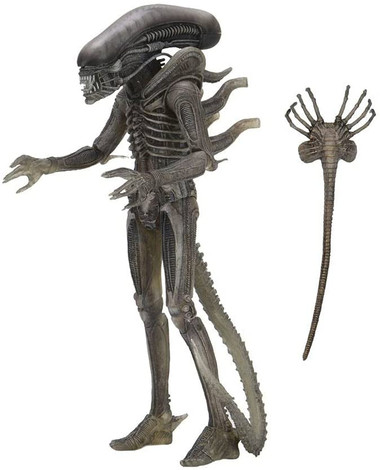 Alien 40th Anniversary Wave 4 The ALIEN figure Neca 17123 - Toysheik